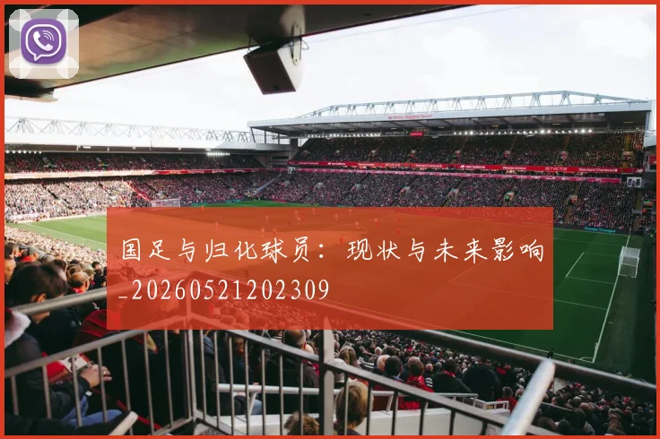 国足与归化球员:现状与未来影响_20260521202309