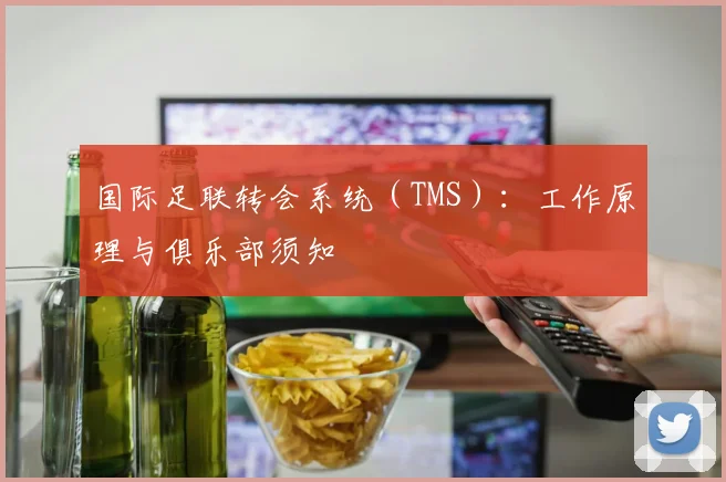 国际足联转会系统(TMS):工作原理与俱乐部须知