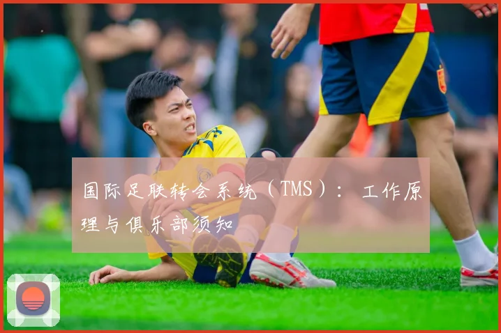 国际足联转会系统（TMS）：工作原理与俱乐部须知