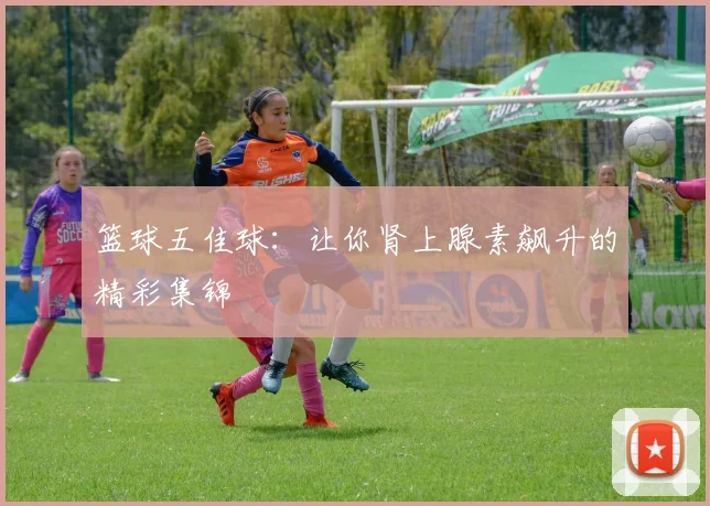 篮球五佳球:让你肾上腺素飙升的精彩集锦
