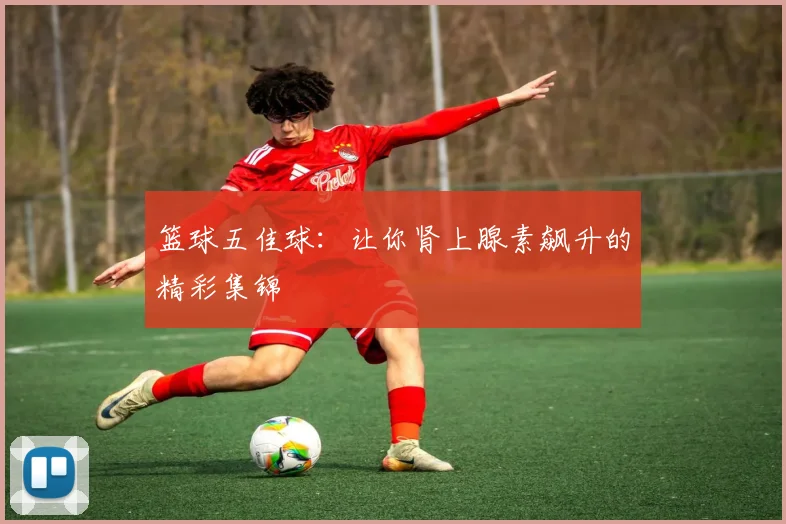 篮球五佳球：让你肾上腺素飙升的精彩集锦